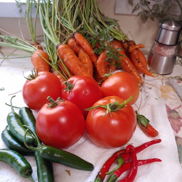 Meet your Posher, Victoria - Picture 11 of 16